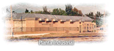 Guardapolvos y Delantales